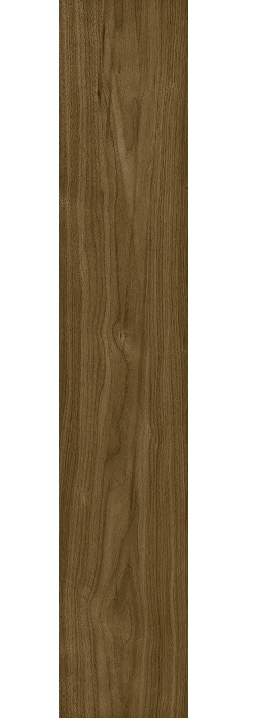 Porcelanico Lume 20x120 Texas
