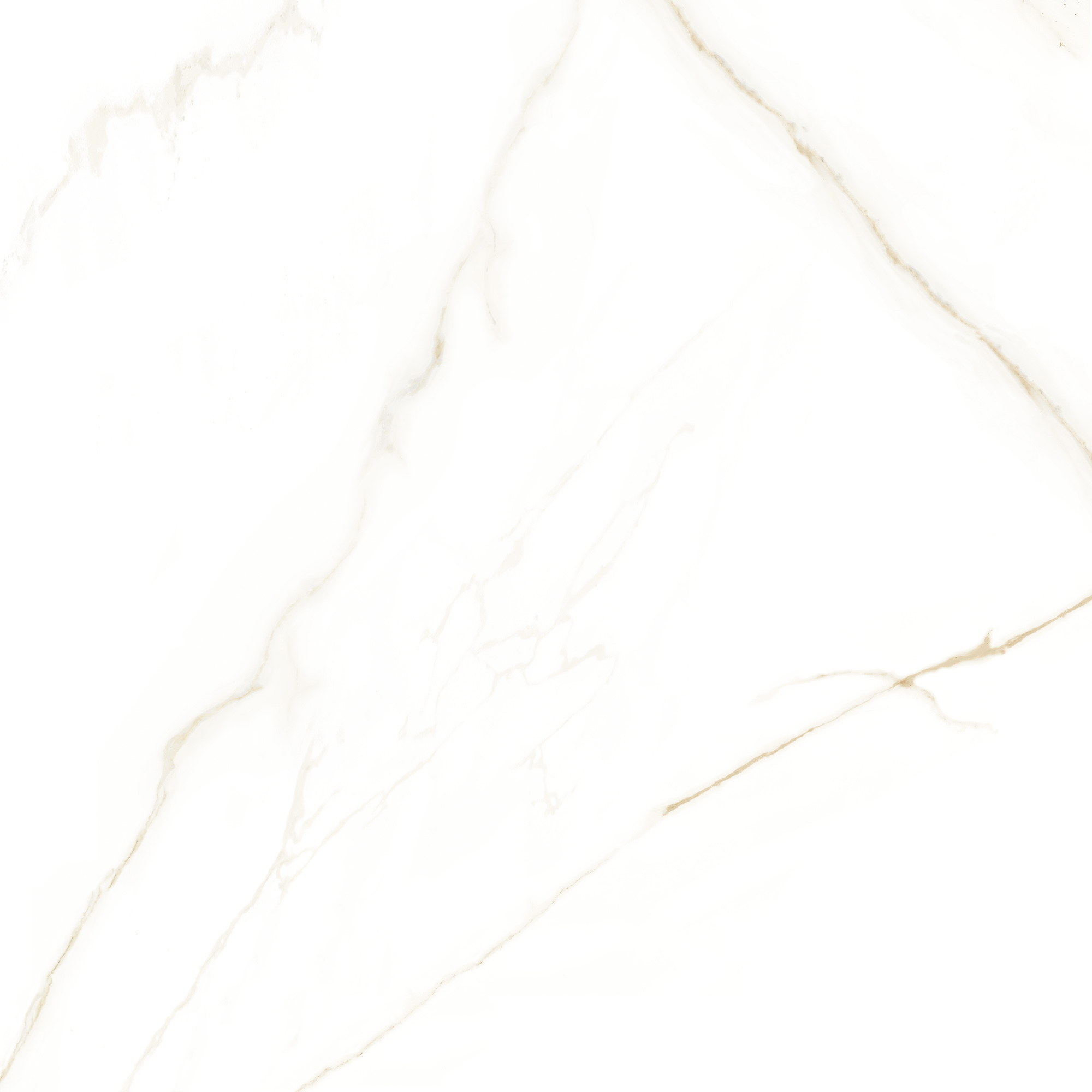 Porcelanato Angelgres 72×72 Calacata Gold