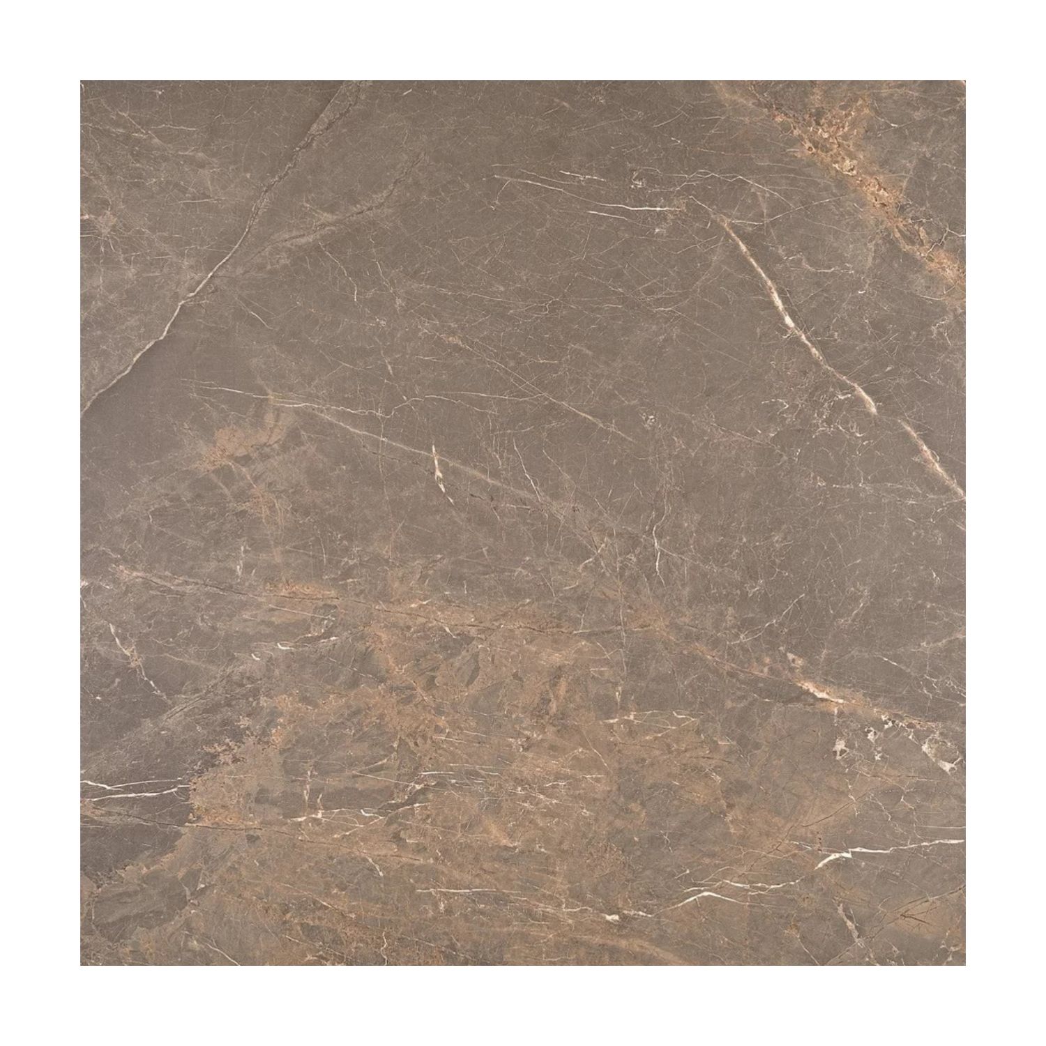 Porcelanato Portobello 120x120 Or De Cacau